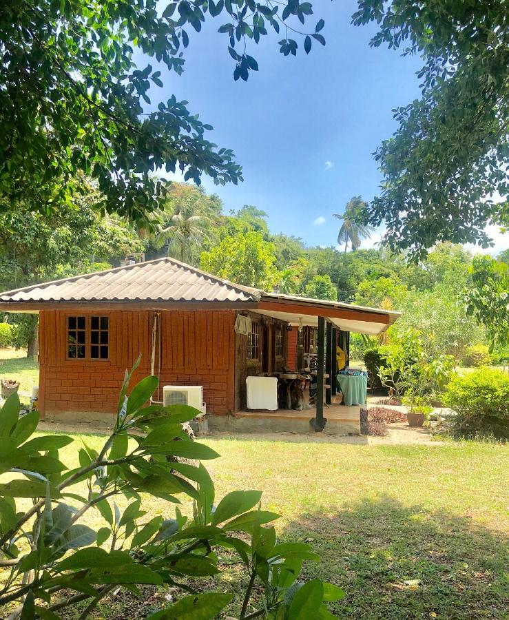 Lamai Chalet Amphoe Koksamui Ngoại thất bức ảnh